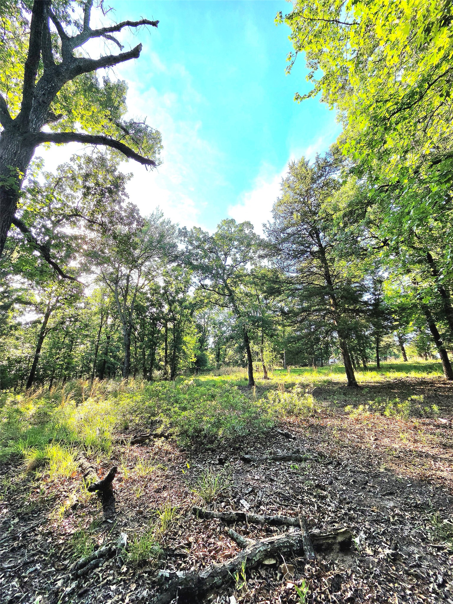 Lot 377 Timber Ridge Larue TX 75770