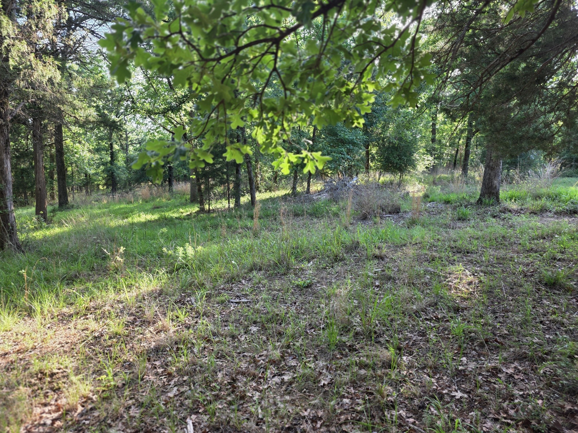Lot 377 Timber Ridge Larue TX 75770
