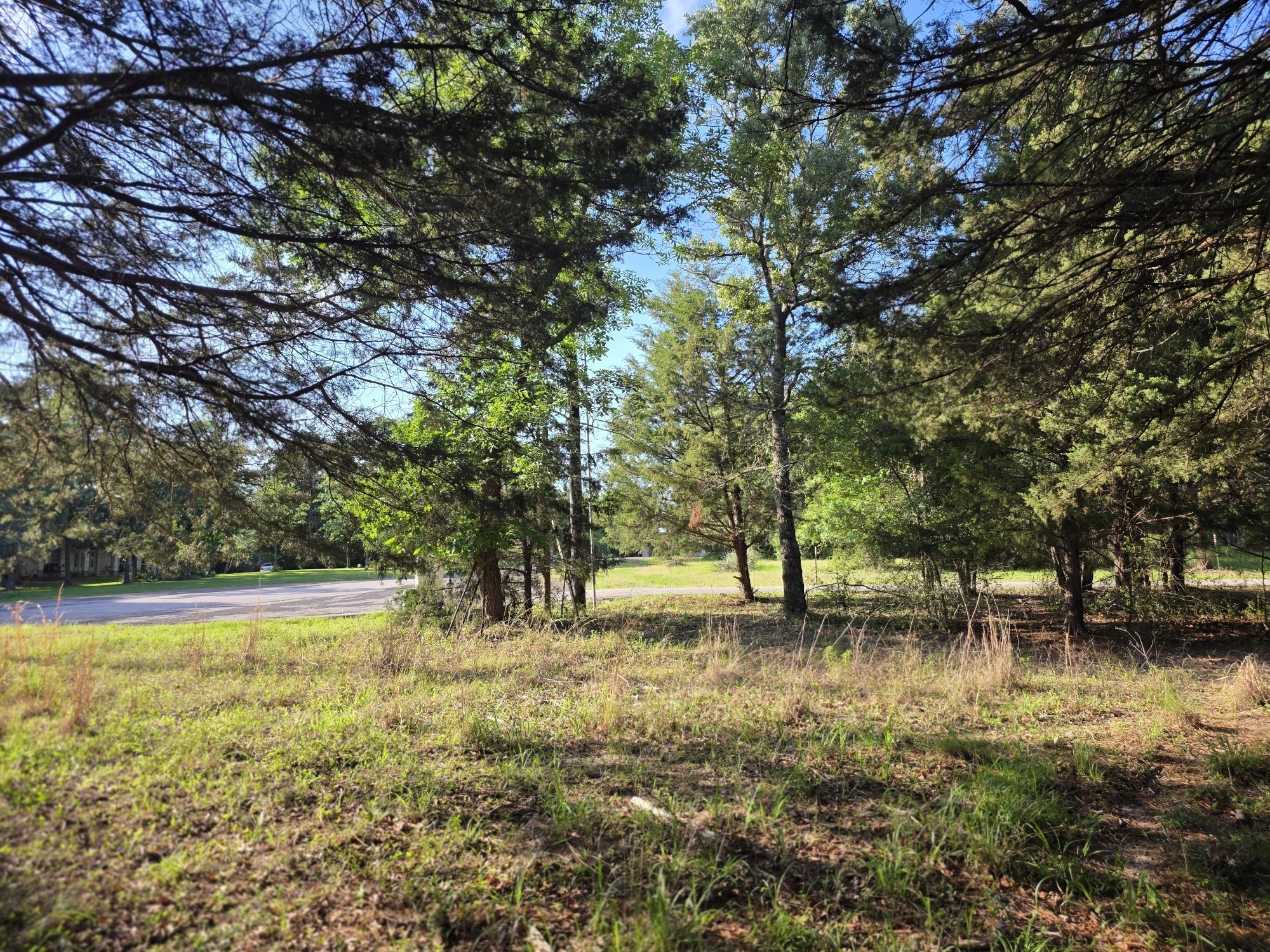 Lot 377 Timber Ridge Larue TX 75770
