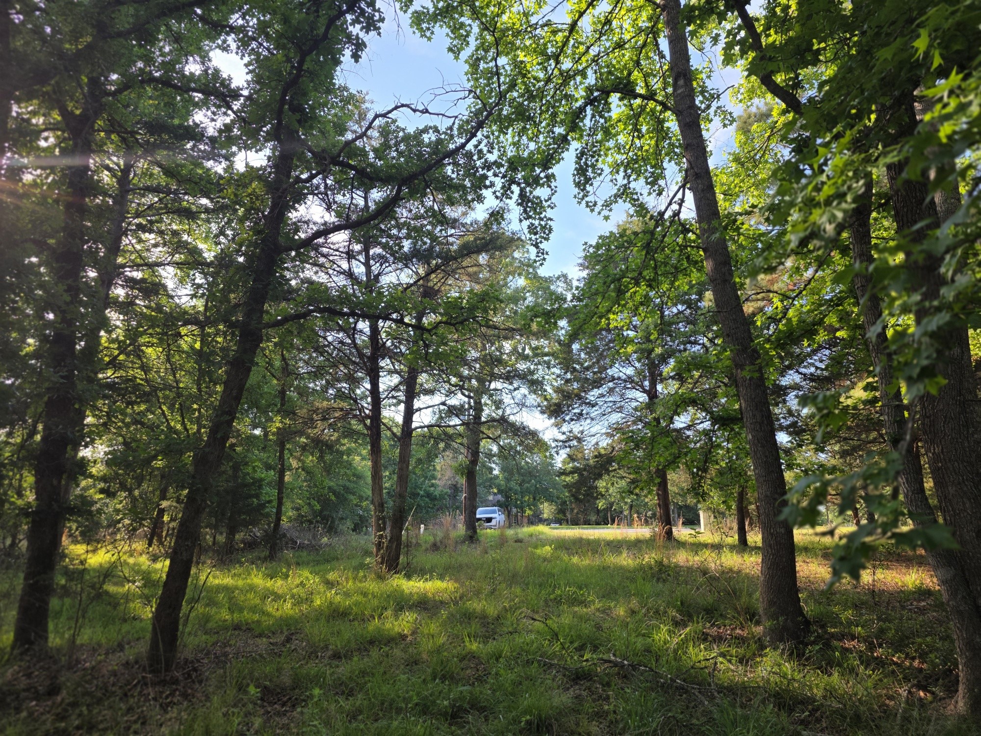 Lot 377 Timber Ridge Larue TX 75770