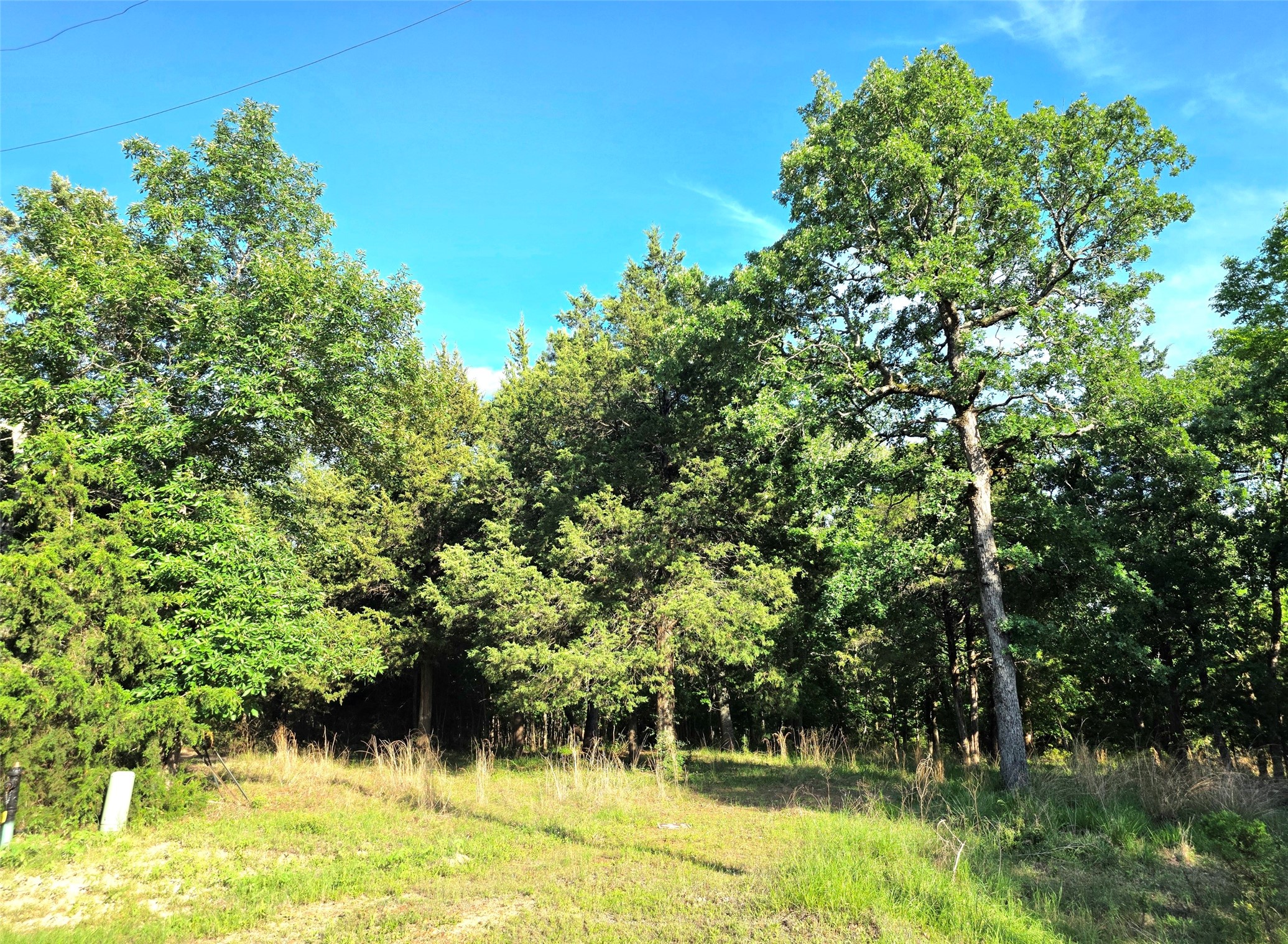Lot 377 Timber Ridge Larue TX 75770