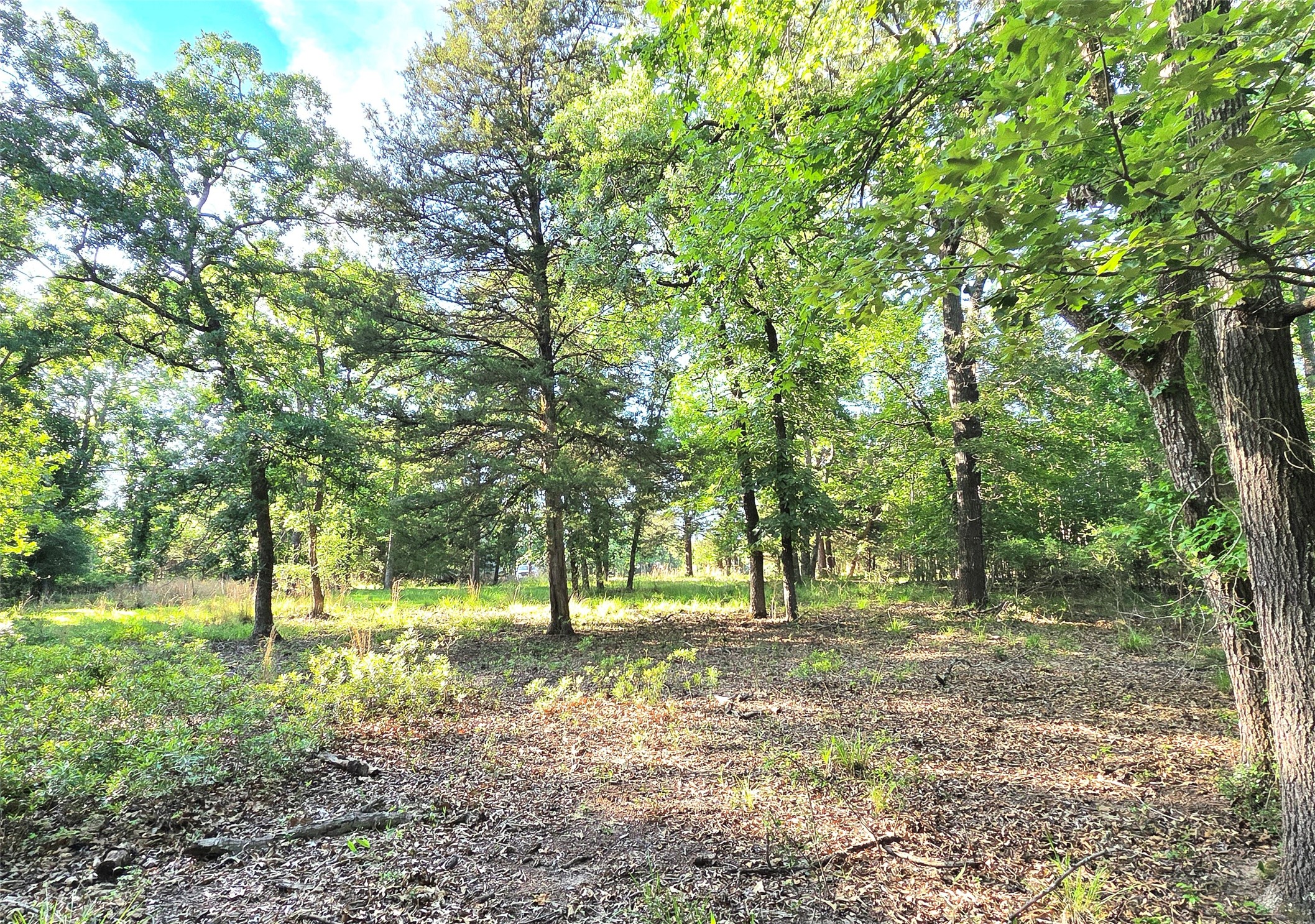 Lot 377 Timber Ridge Larue TX 75770