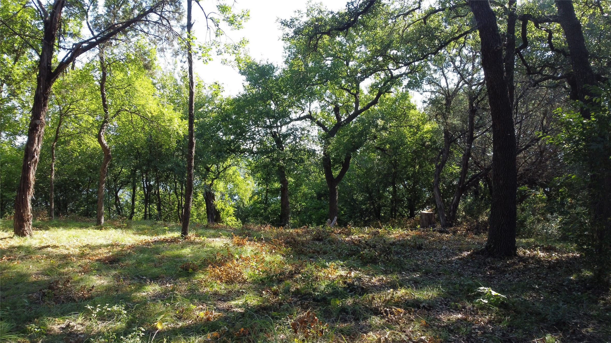 2831 San Gabriel Drive Granbury TX 76048