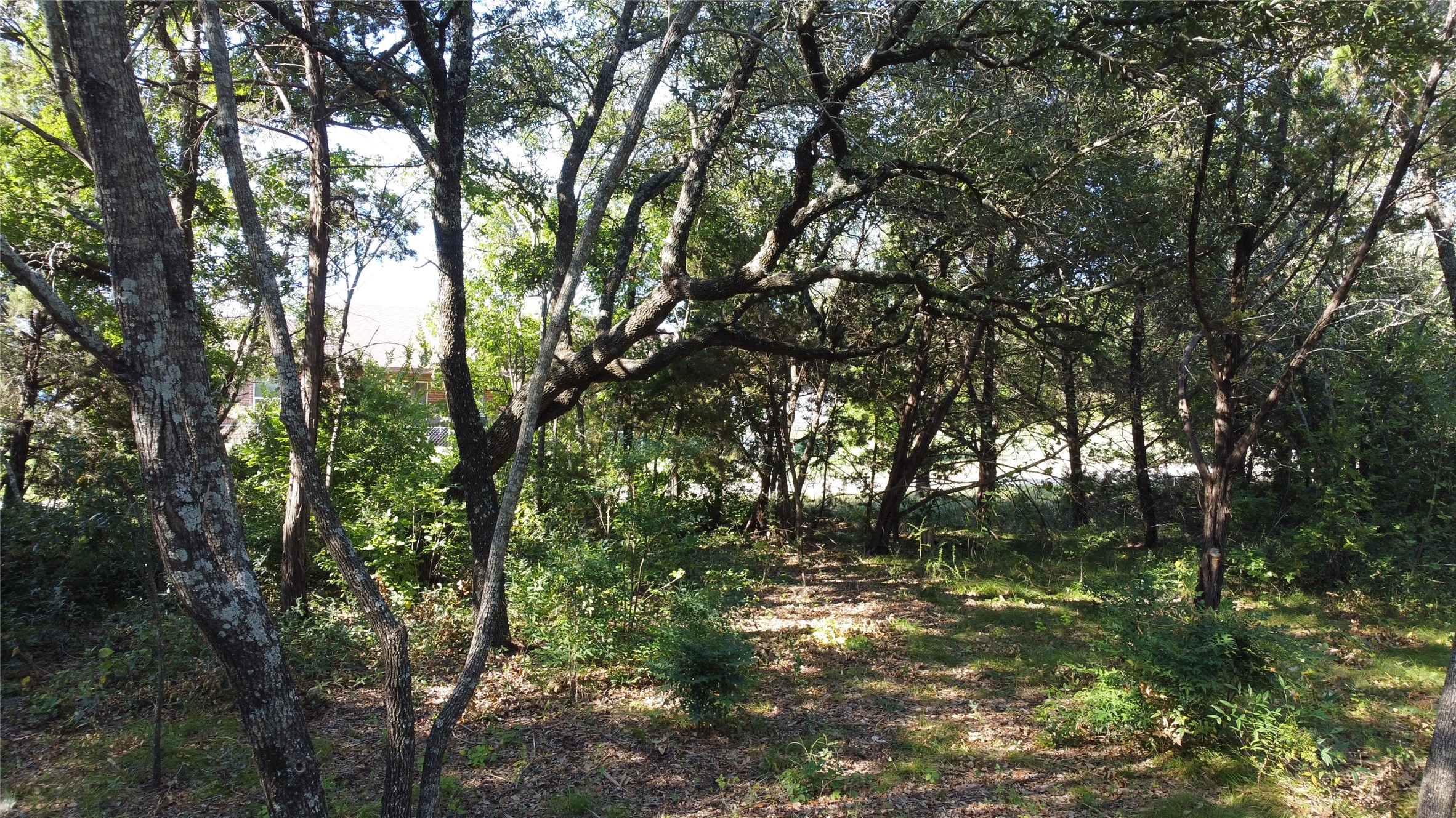 2831 San Gabriel Drive Granbury TX 76048
