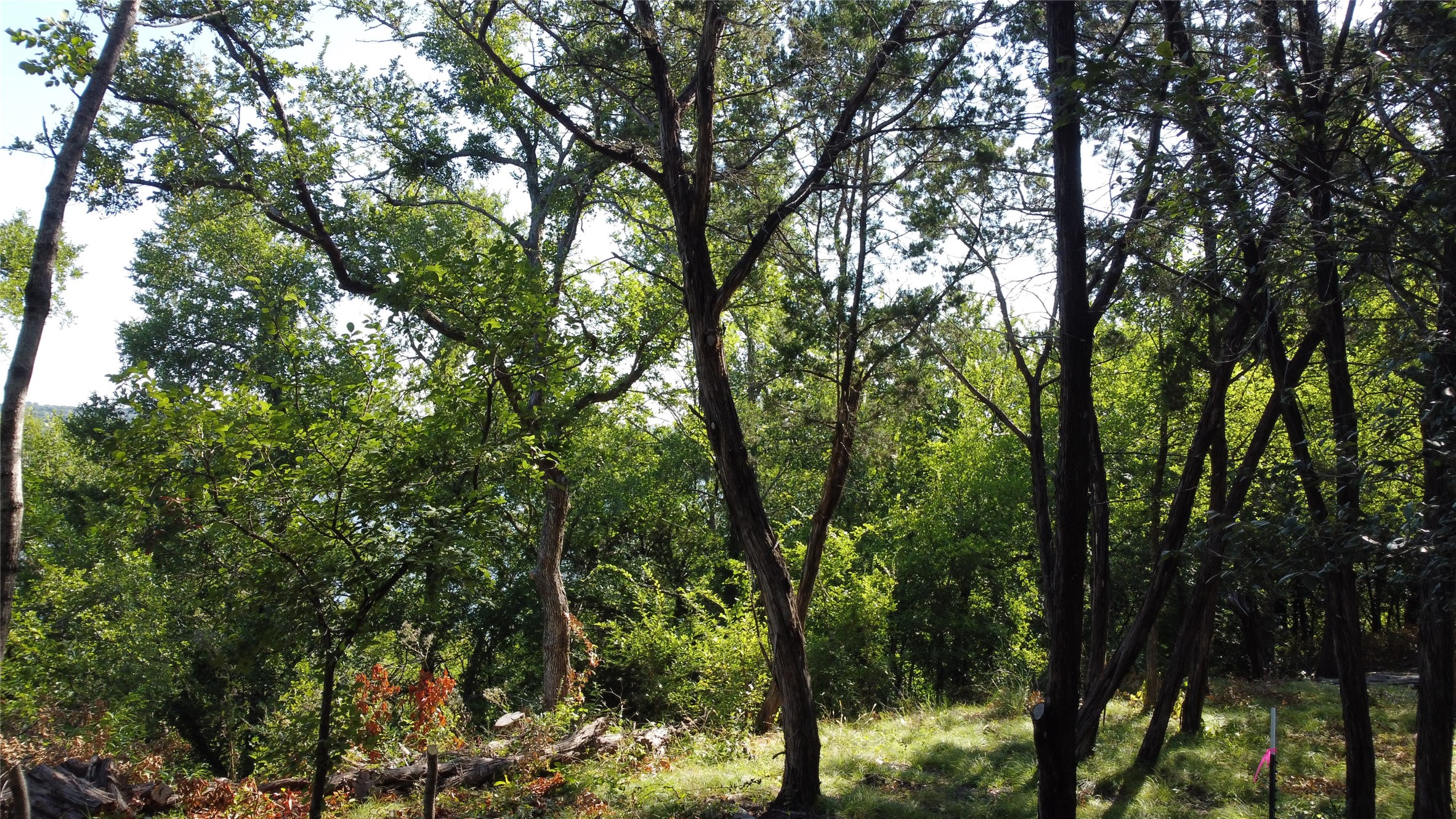 2831 San Gabriel Drive Granbury TX 76048
