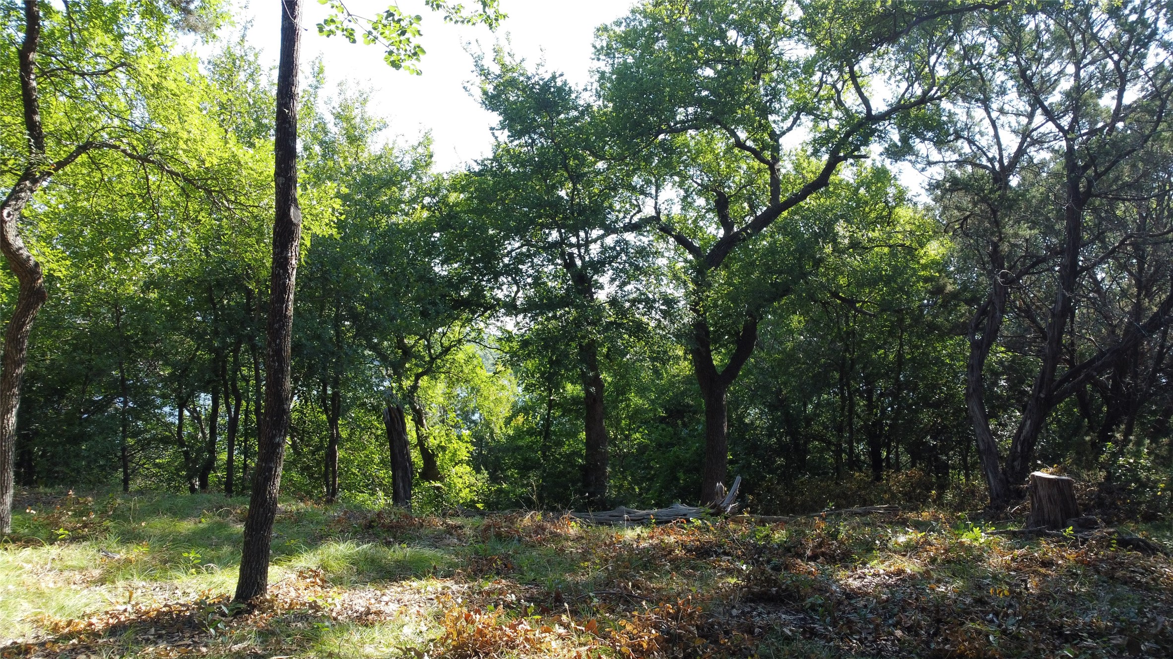 2831 San Gabriel Drive Granbury TX 76048