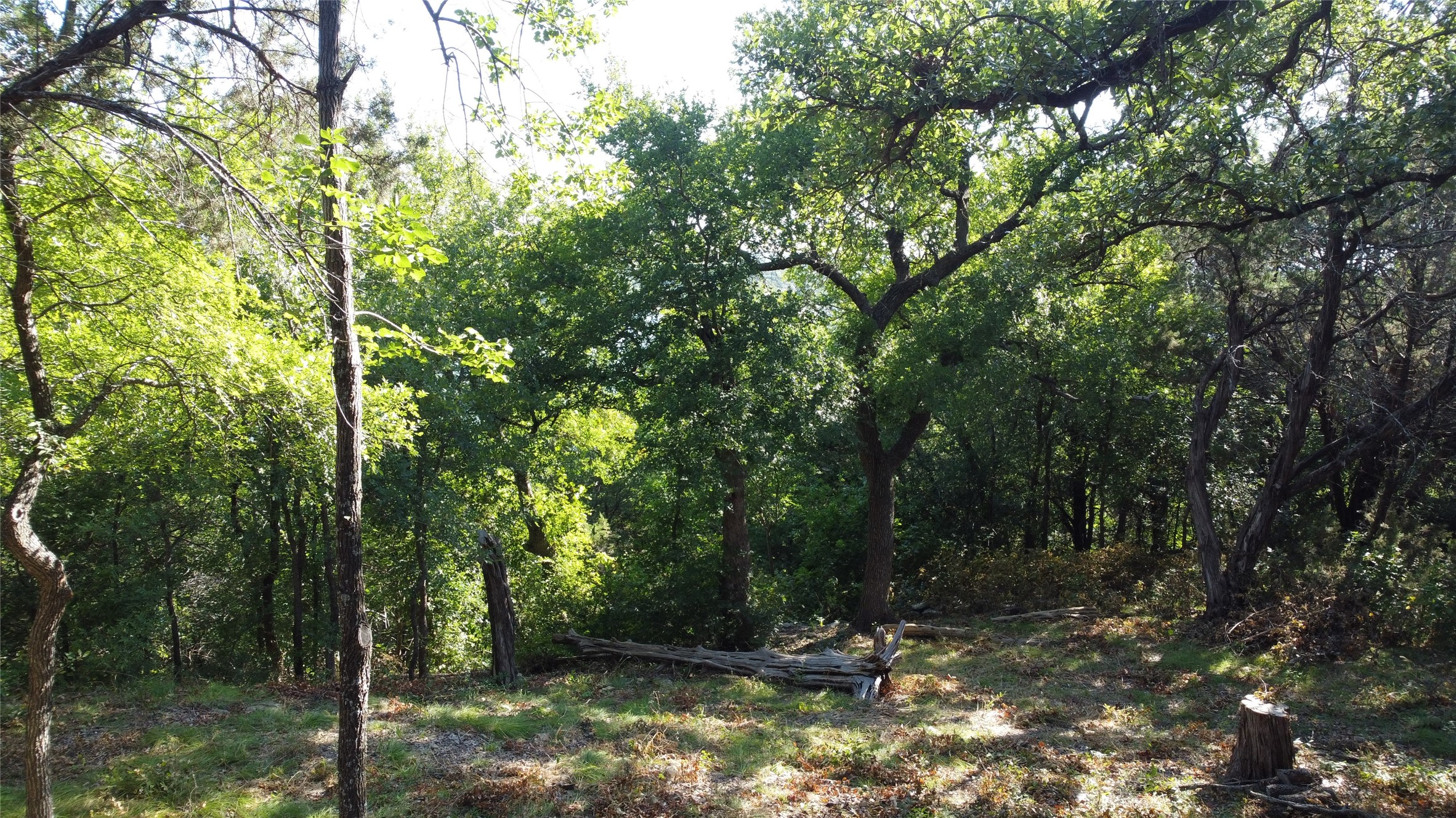 2831 San Gabriel Drive Granbury TX 76048