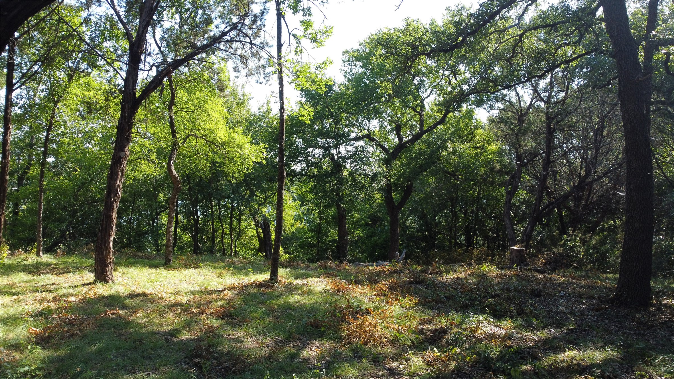 2831 San Gabriel Drive Granbury TX 76048