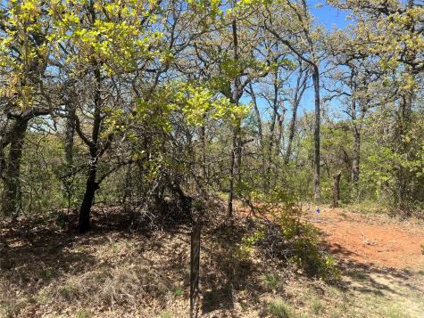 1000 Crazy Horse Trail Burleson TX 76028