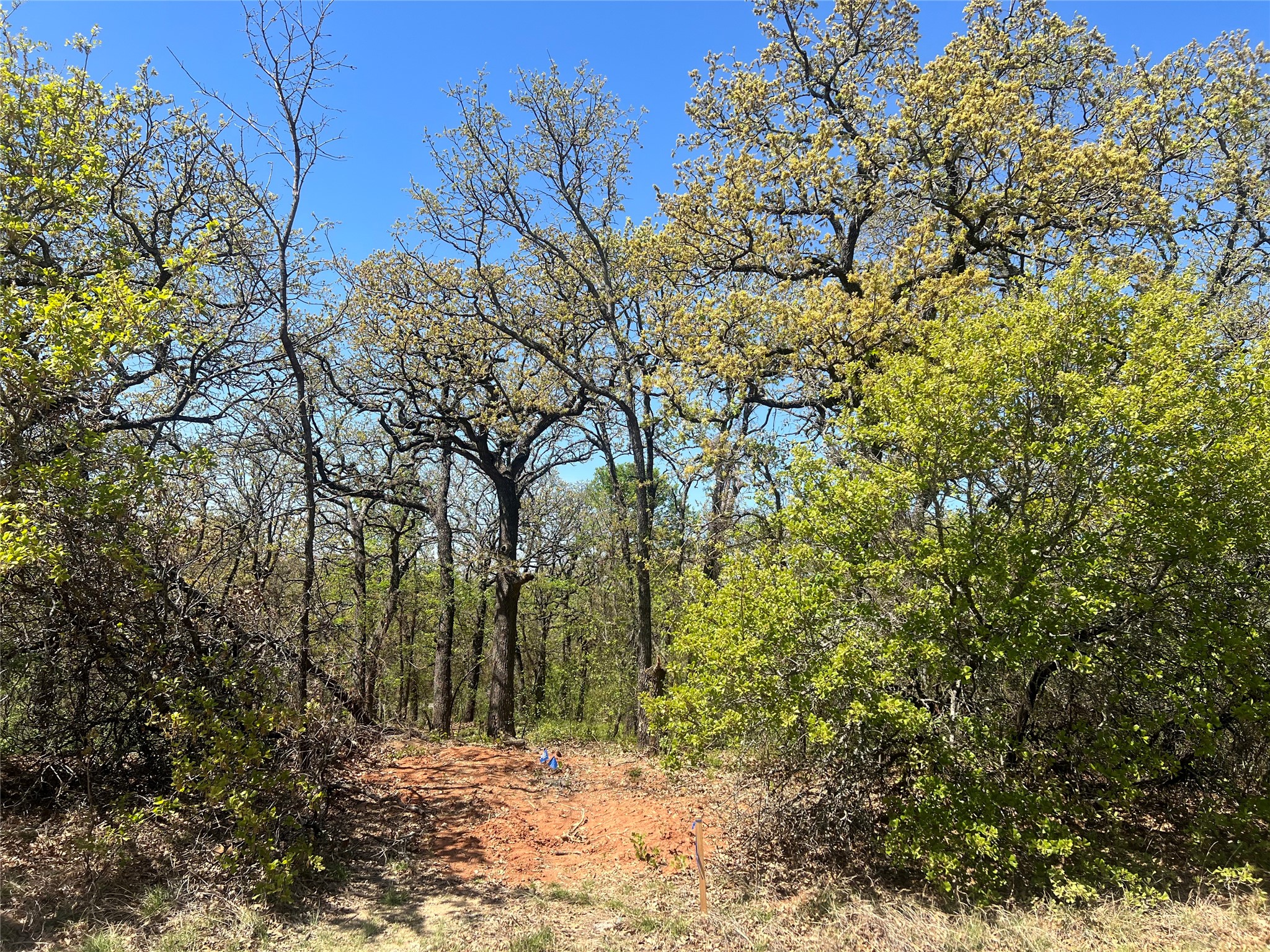 1000 Crazy Horse Trail Burleson TX 76028