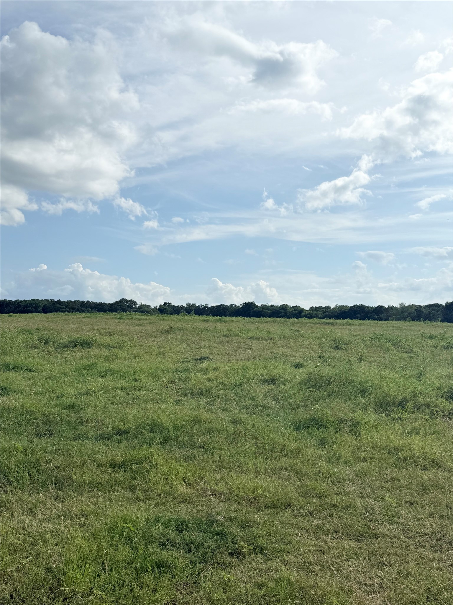 580 Vz County Road1819 Grand Saline TX 75140
