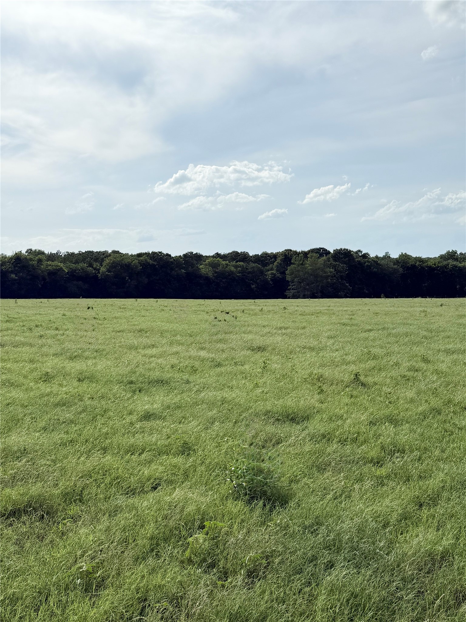 580 Vz County Road1819 Grand Saline TX 75140