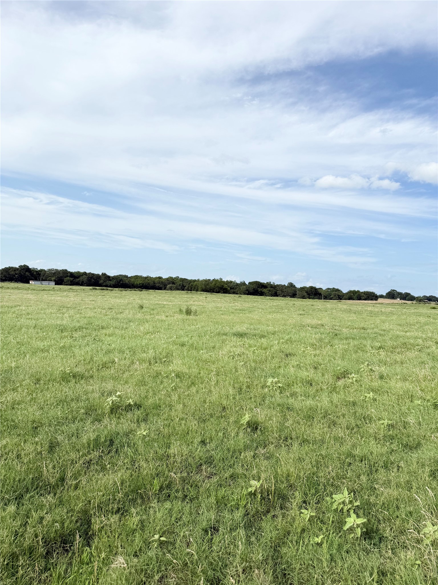 580 Vz County Road1819 Grand Saline TX 75140