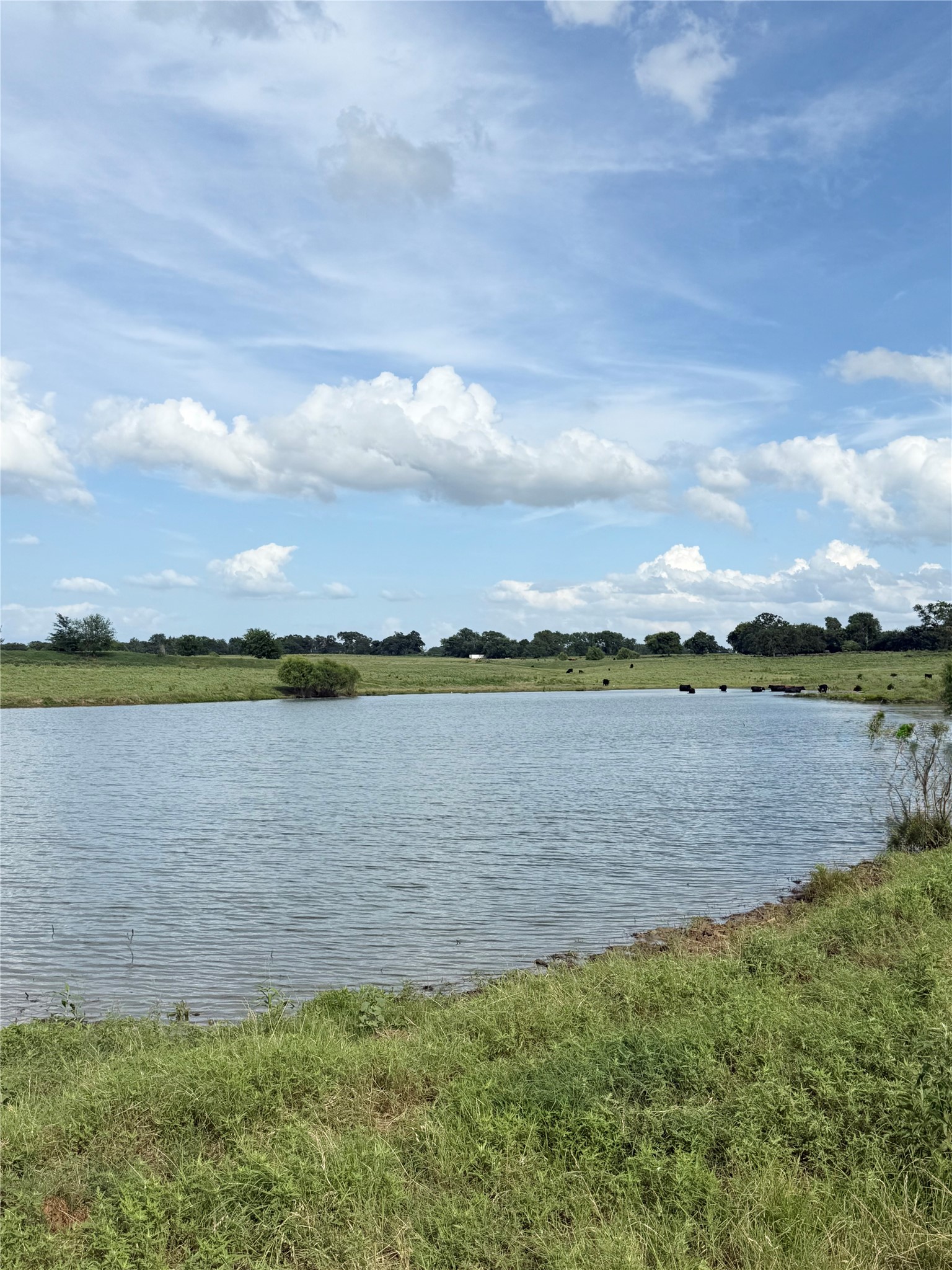 580 Vz County Road1819 Grand Saline TX 75140
