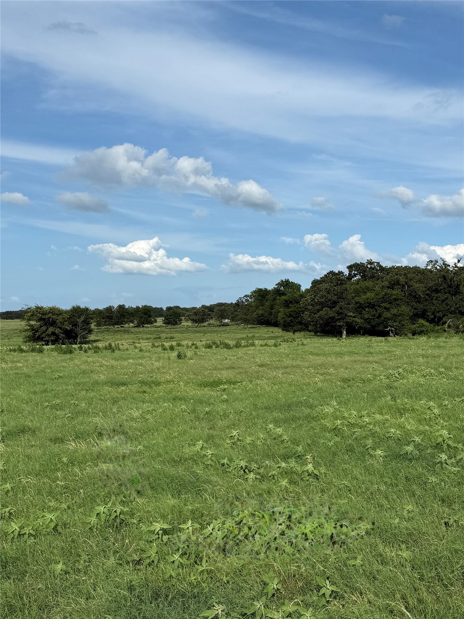 580 Vz County Road1819 Grand Saline TX 75140