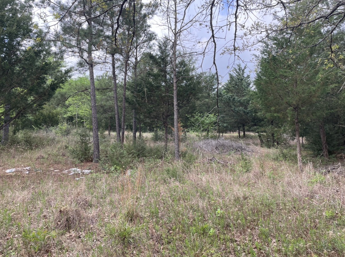 0 N State Highway 19 Palestine TX 75803