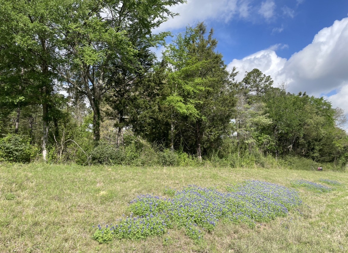0 N State Highway 19 Palestine TX 75803