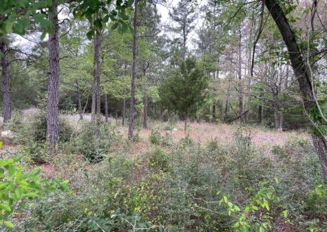 0 N State Highway 19 Palestine TX 75803