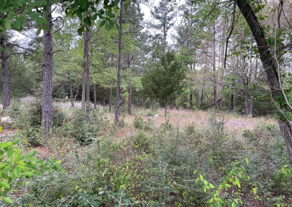 0 N State Highway 19 Palestine TX 75803