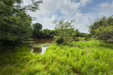 Lot 1 County Road 173 Marlin TX 76661