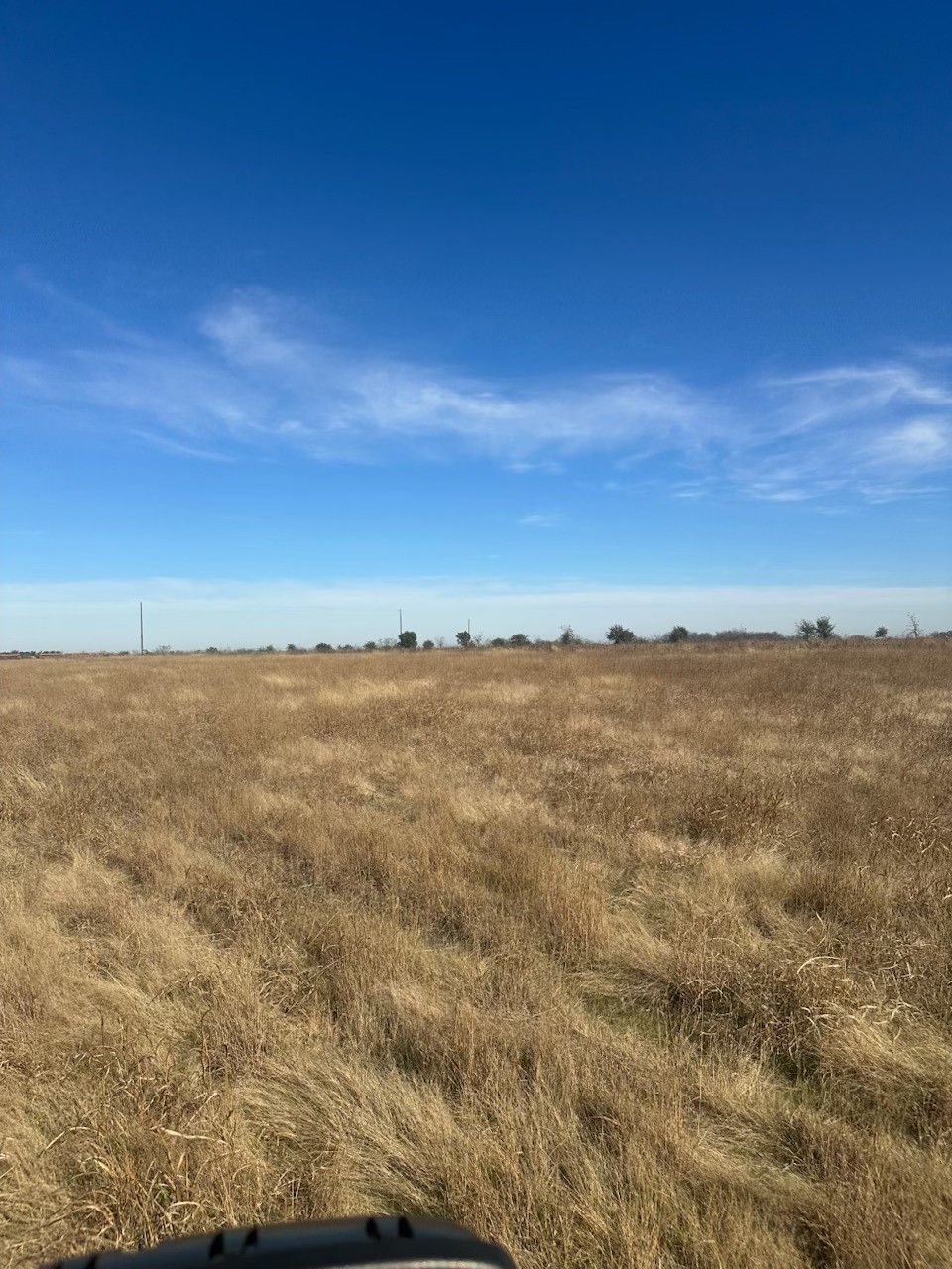 Lot 40 NW 1290 Road Corsicana TX 75110