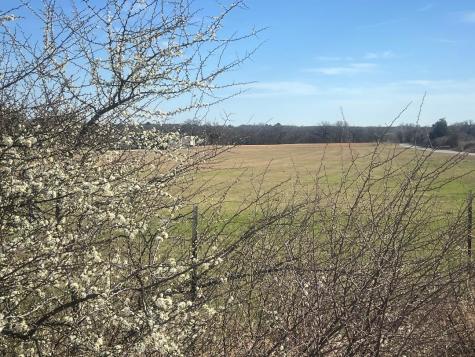 0000 Briar Road Azle TX 76020