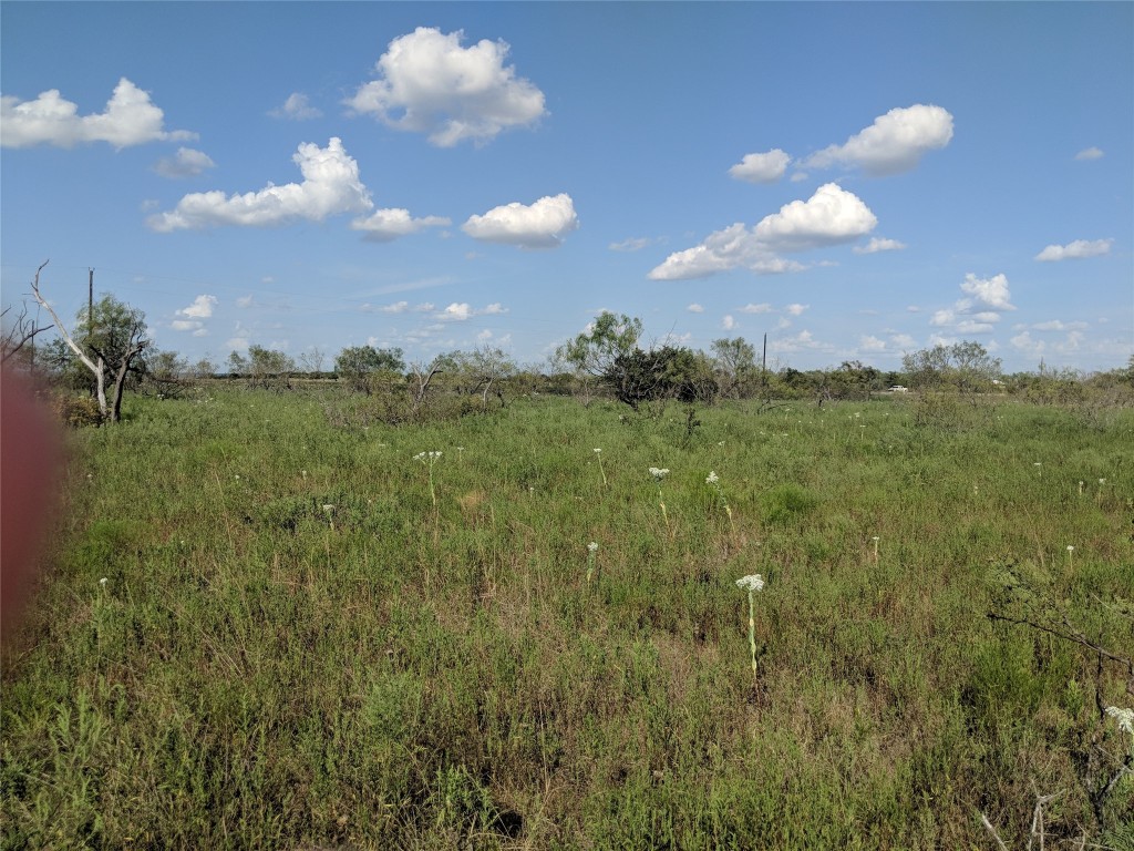 Tbd Highway 36 E. Tract 2 Jonesboro TX 76538