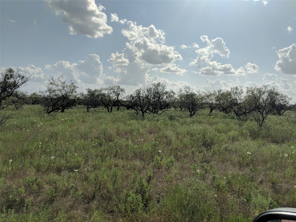 Tbd Highway 36 E. Tract 2 Jonesboro TX 76538