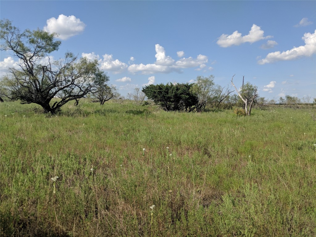 Tbd Highway 36 E. Tract 2 Jonesboro TX 76538