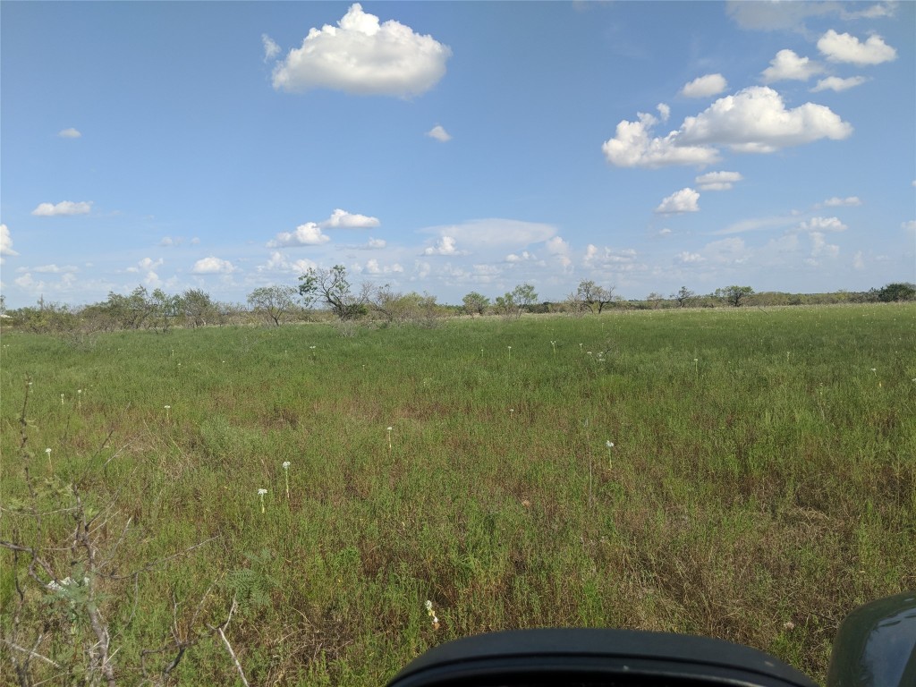 Tbd Highway 36 E. Tract 2 Jonesboro TX 76538