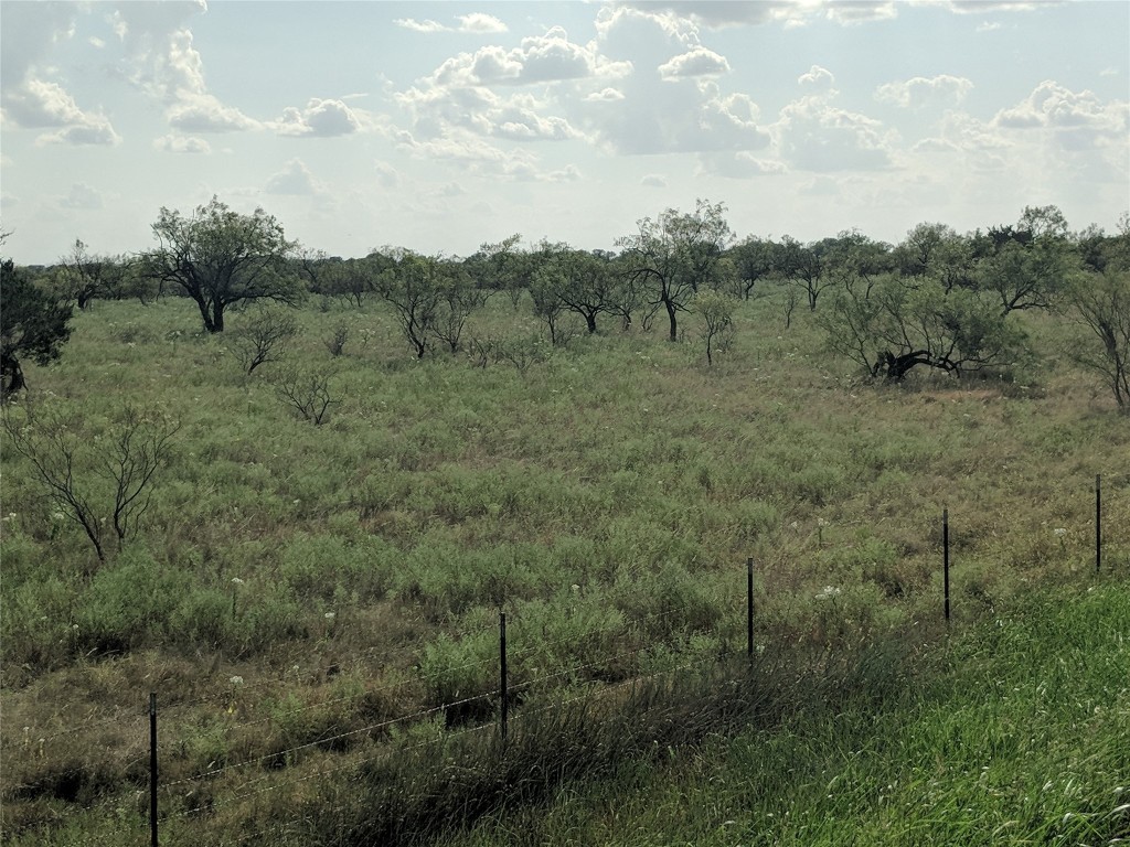 Tbd Highway 36 E. Tract 2 Jonesboro TX 76538