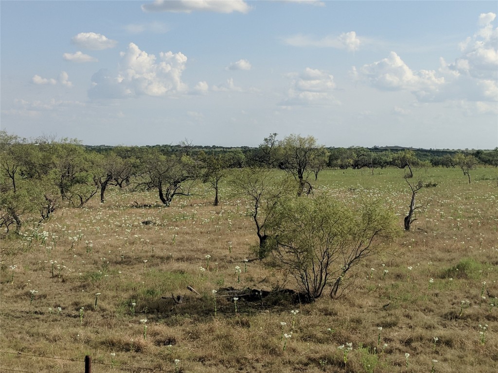 Tbd Highway 36 E. Tract 2 Jonesboro TX 76538