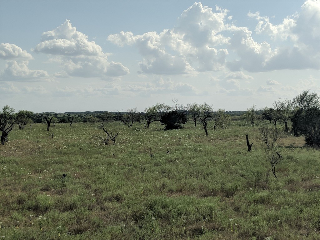 Tbd Highway 36 E. Tract 2 Jonesboro TX 76538