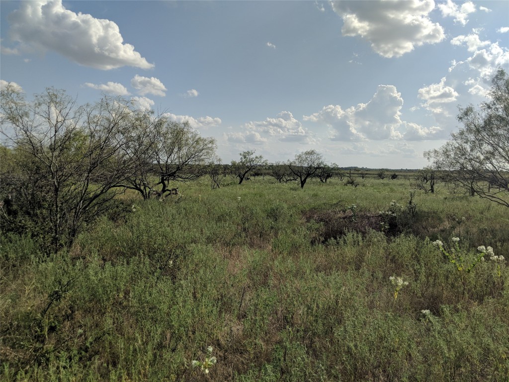 Tbd Highway 36 E. Tract 2 Jonesboro TX 76538