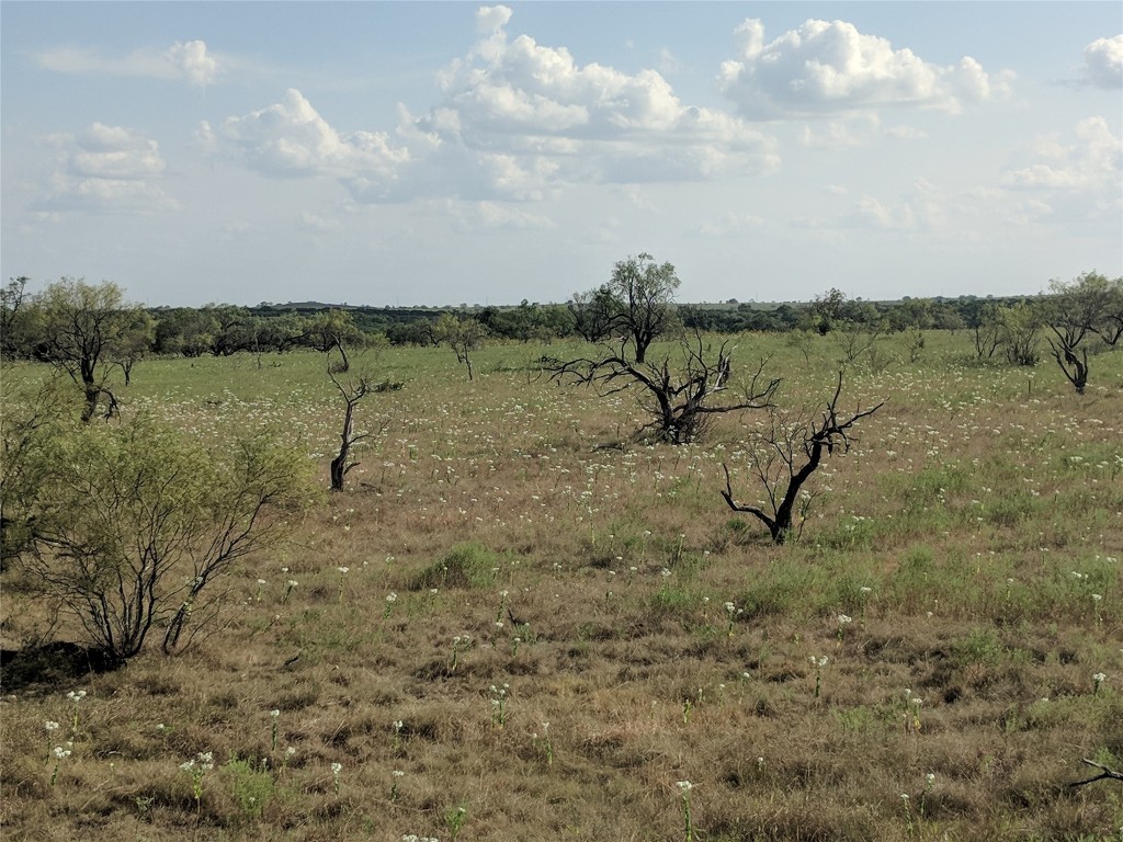 Tbd Highway 36 E. Tract 2 Jonesboro TX 76538