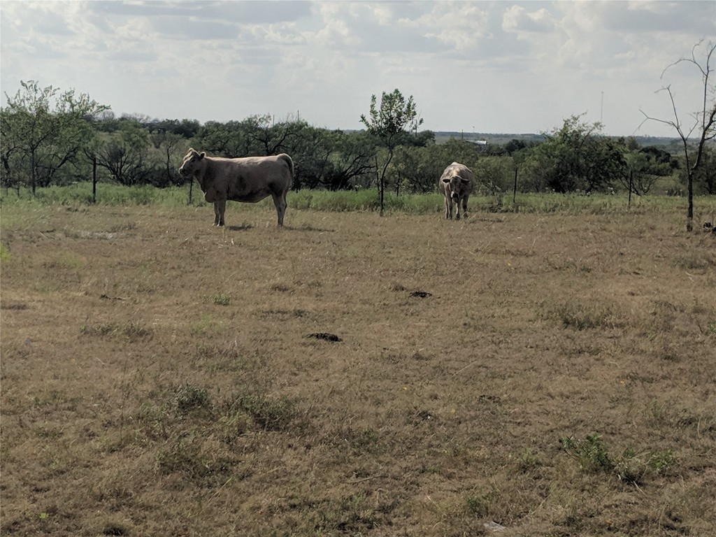 Tbd Highway 36 E. Tract 2 Jonesboro TX 76538