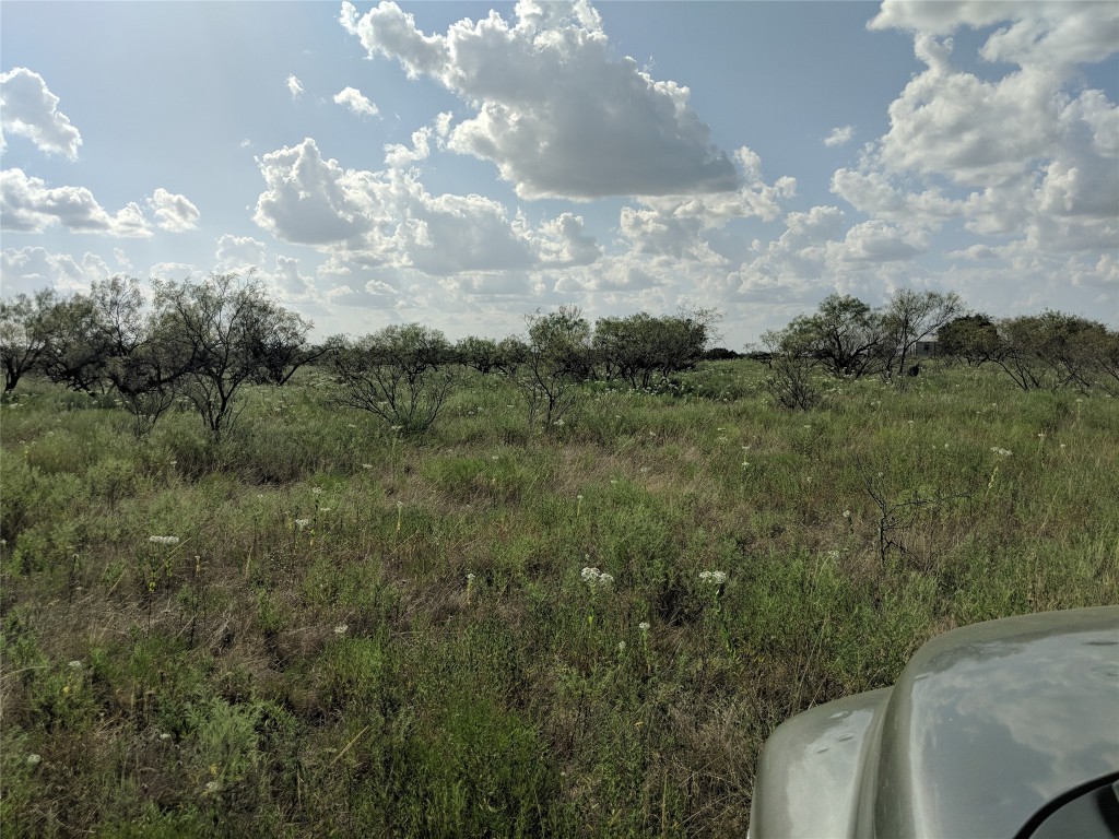 Tbd Highway 36 E. Tract 2 Jonesboro TX 76538