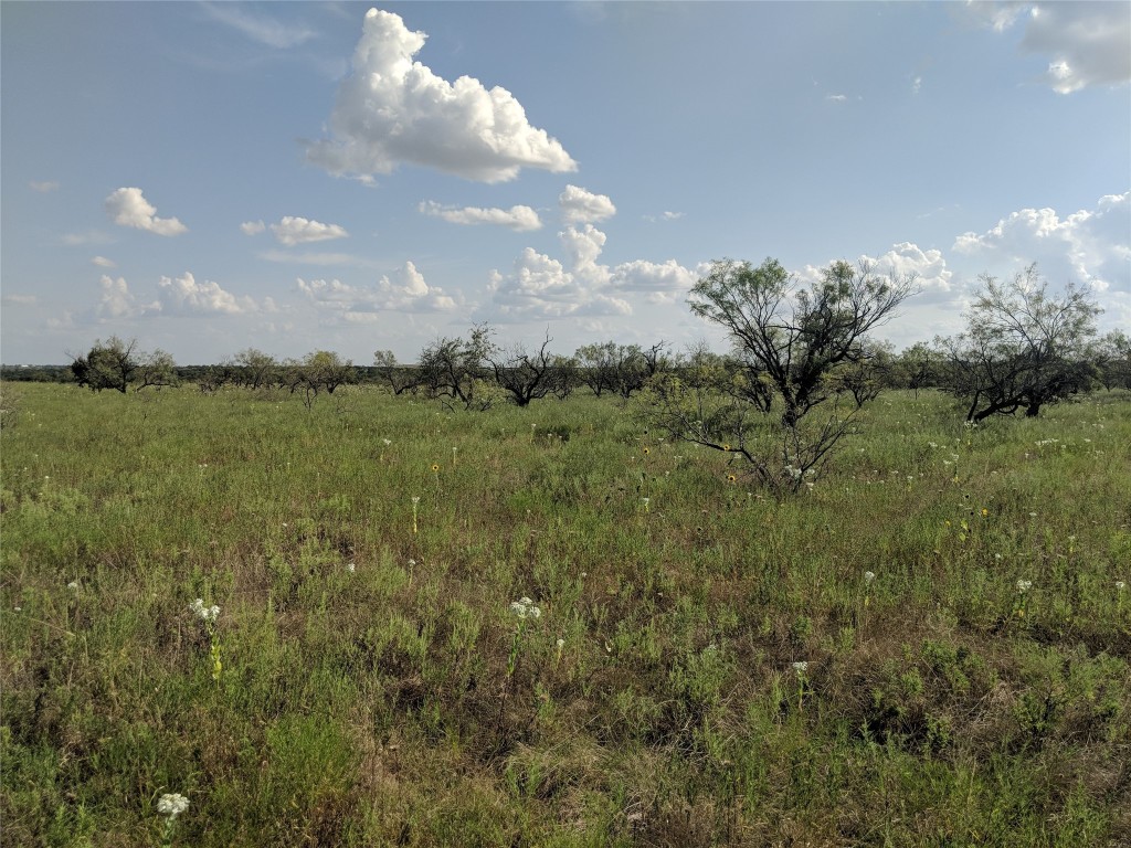Tbd Highway 36 E. Tract 2 Jonesboro TX 76538