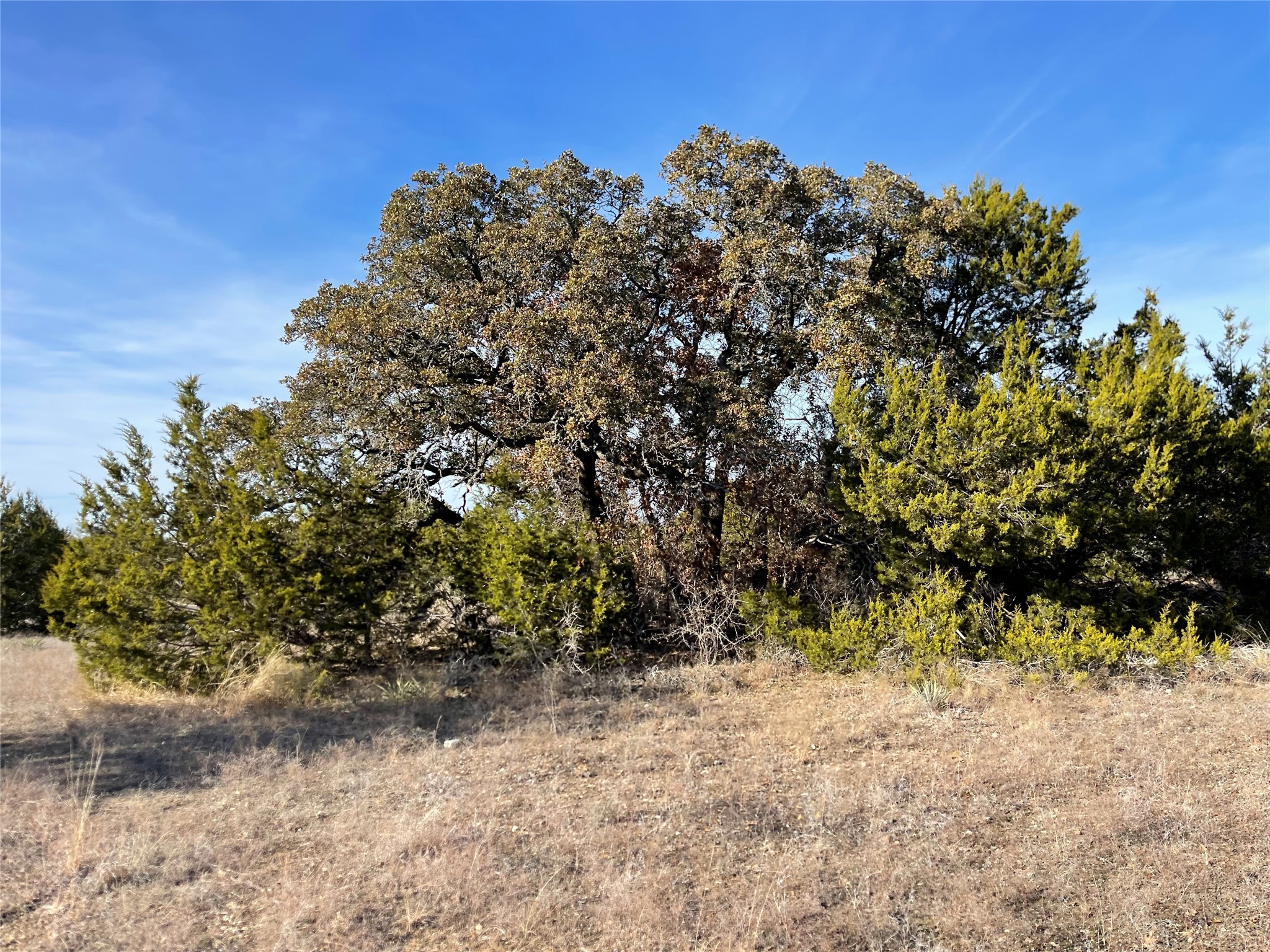 4986 County Road 607 Hamilton TX 76455