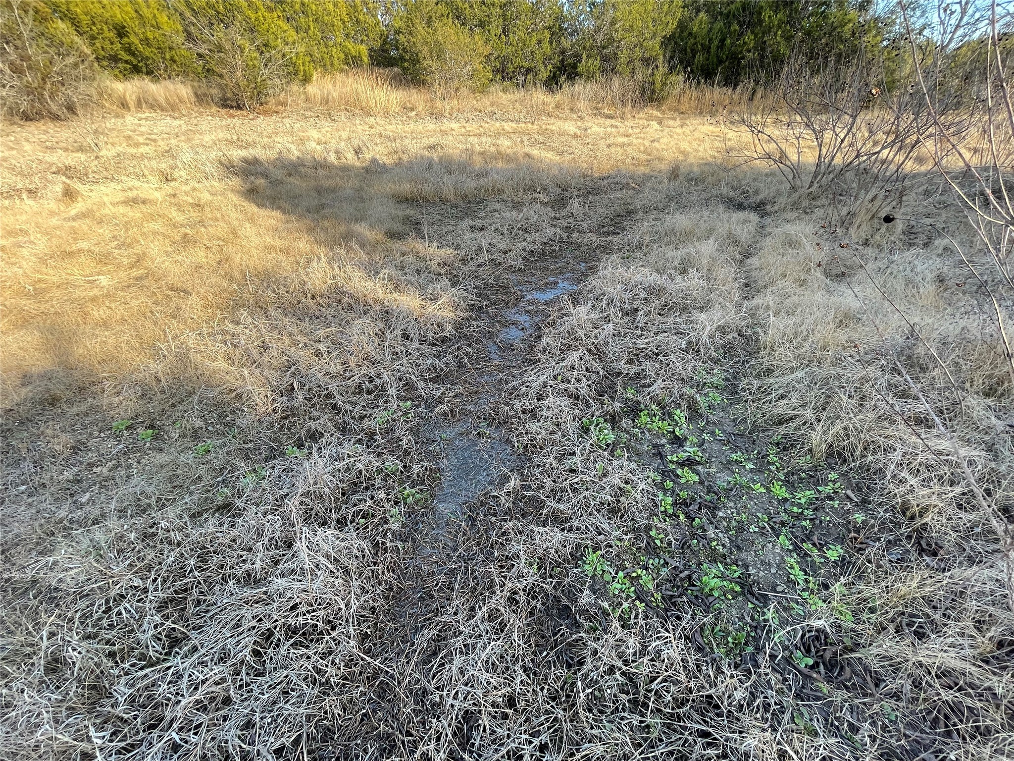 4986 County Road 607 Hamilton TX 76455