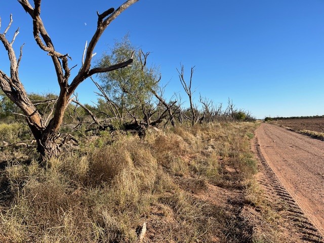Tbd Fm 1224 Roby TX 79543