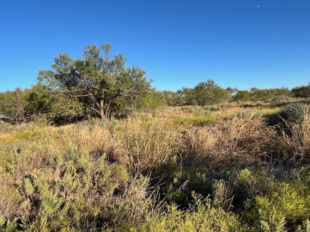 Tbd Fm 1224 Roby TX 79543