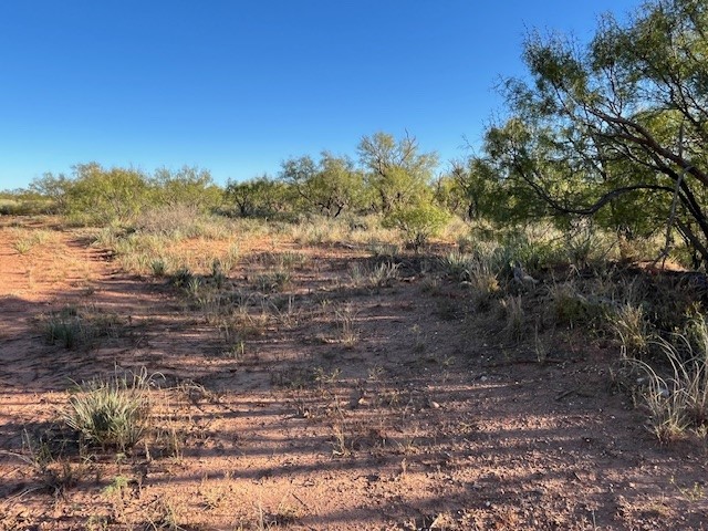 Tbd Fm 1224 Roby TX 79543