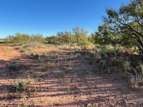 Tbd Fm 1224 Roby TX 79543