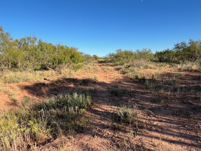 Tbd Fm 1224 Roby TX 79543