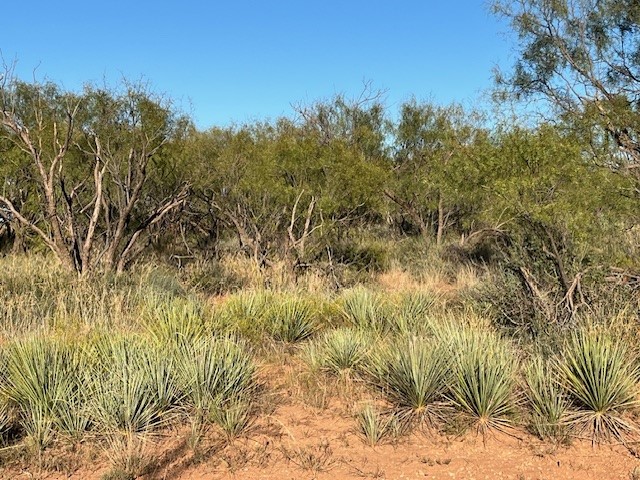 Tbd Fm 1224 Roby TX 79543