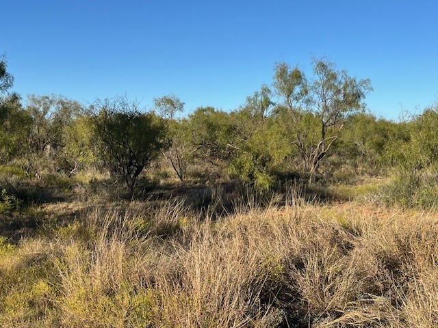 Tbd Fm 1224 Roby TX 79543