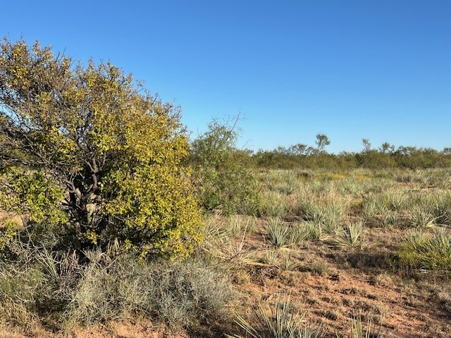 Tbd Fm 1224 Roby TX 79543