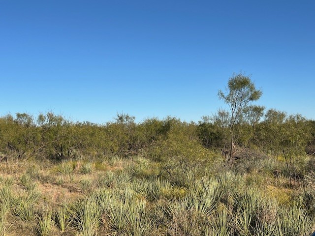 Tbd Fm 1224 Roby TX 79543