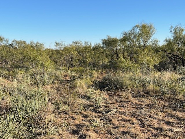 Tbd Fm 1224 Roby TX 79543